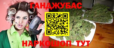 крисы Краснознаменск