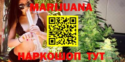 крисы Краснознаменск