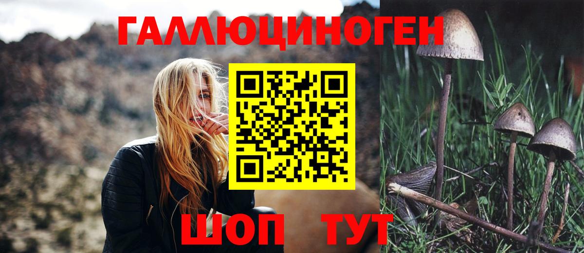 Псилоцибиновые грибы мухоморы  Вход с VPN  Карачаевск 