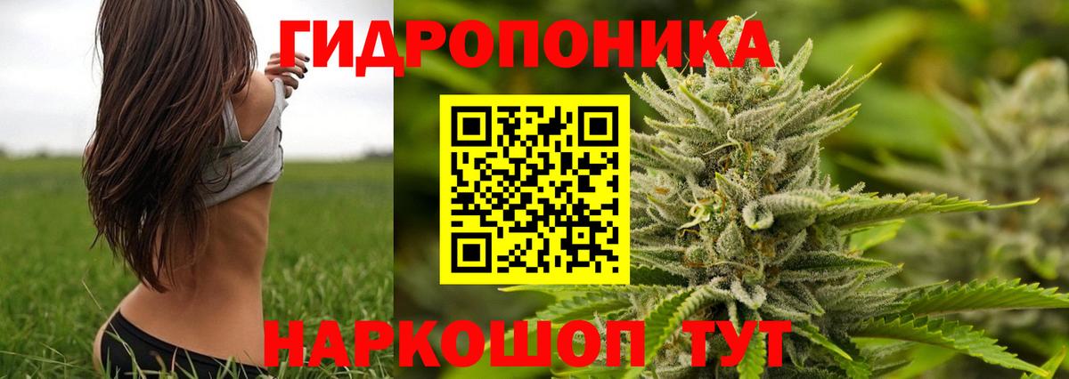 Карачаевск  Марихуана AK-47  МАРИХУАНА гибрид  Конопля Bruce Banner  Канабис THC 21%  Вход с VPN 